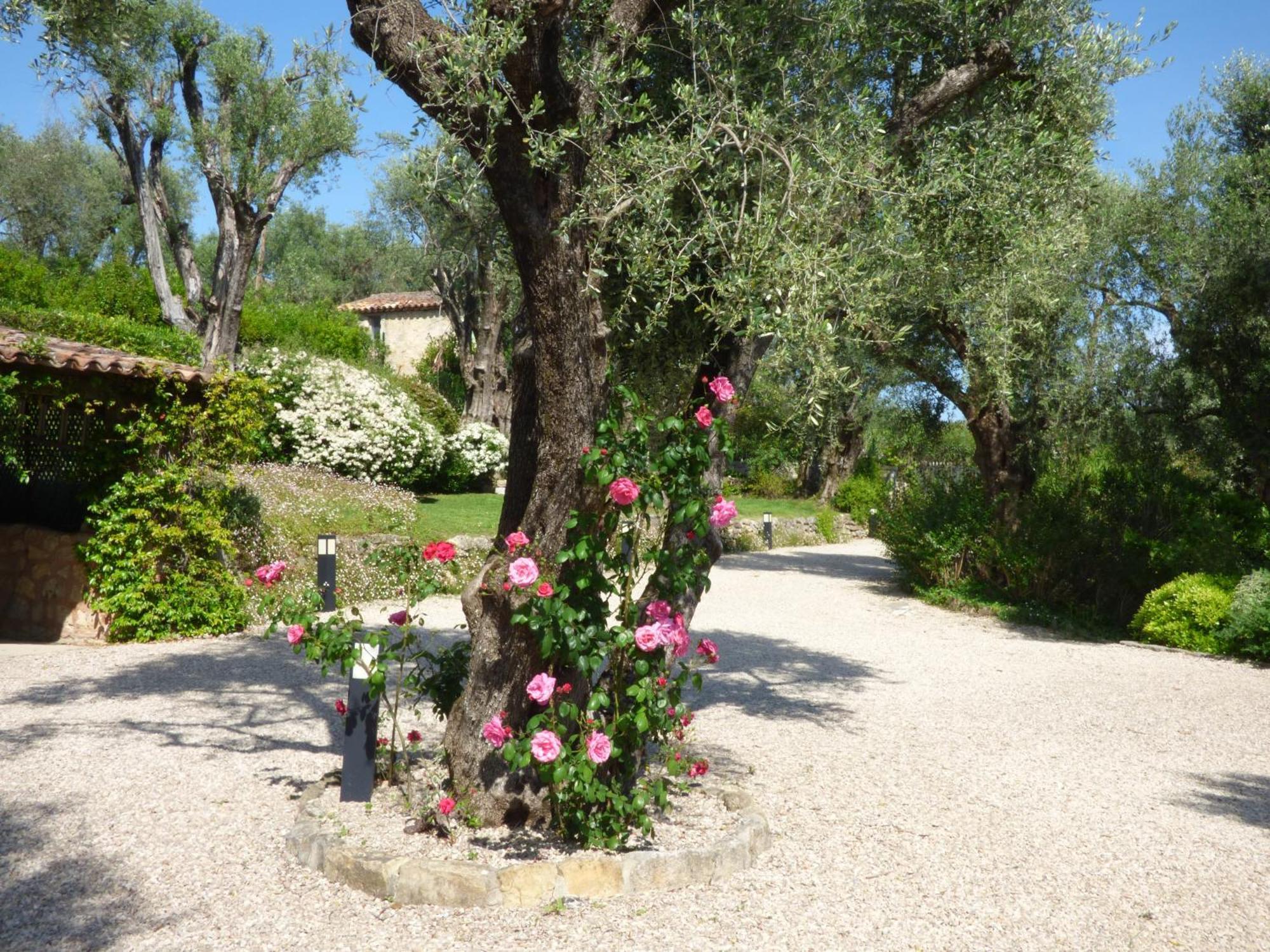 Apartment Picasso In Large Park With Heated Pool Chateauneuf-Grasse Экстерьер фото